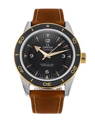 Omega Seamaster 300 233.22.41.21.01.001